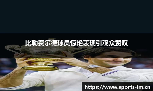 im体育平台
